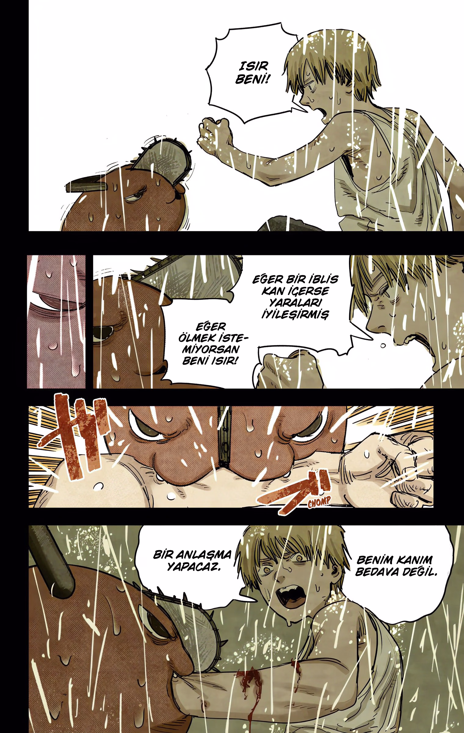 Sayfa 13