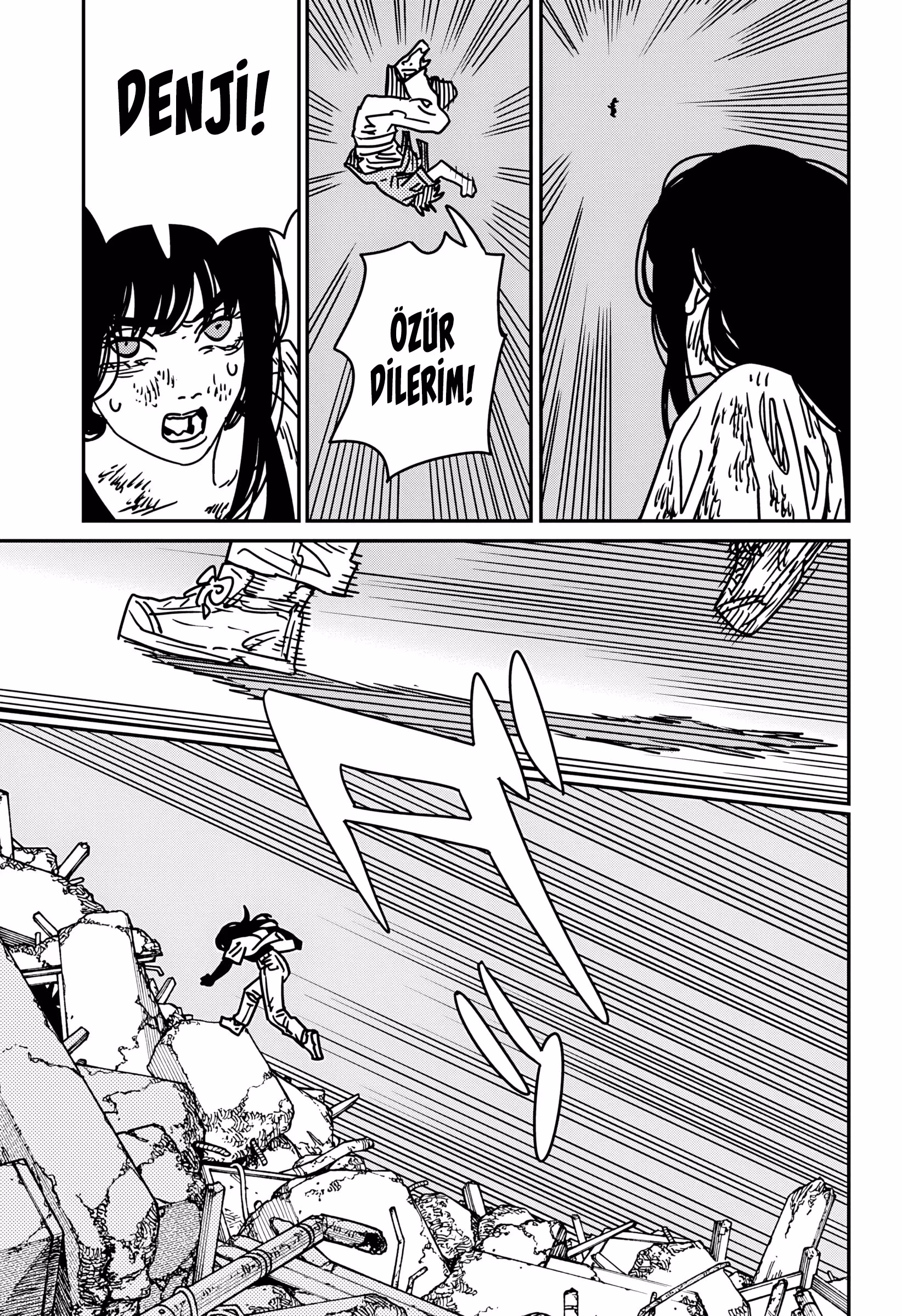 Sayfa 13