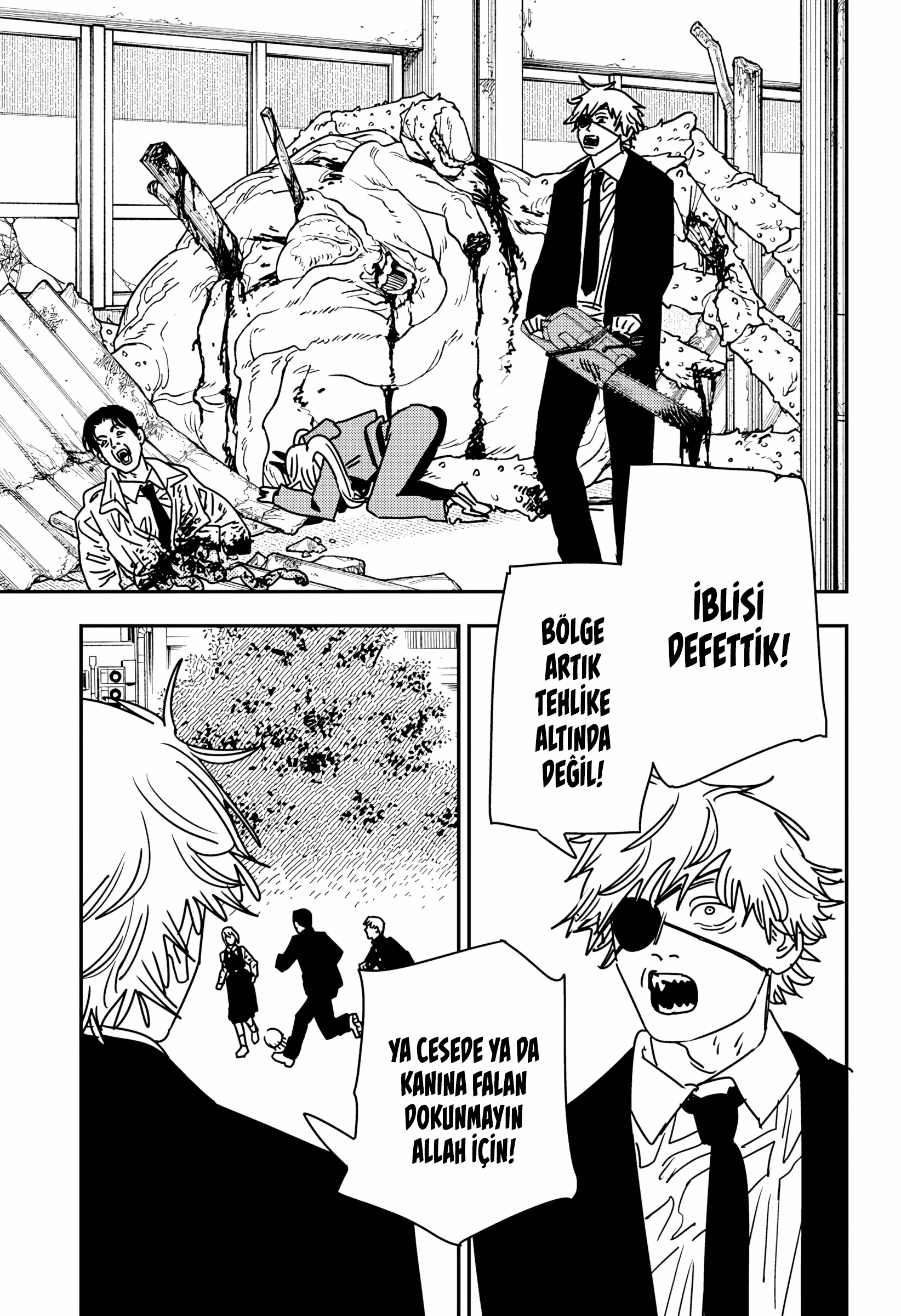 Sayfa 17