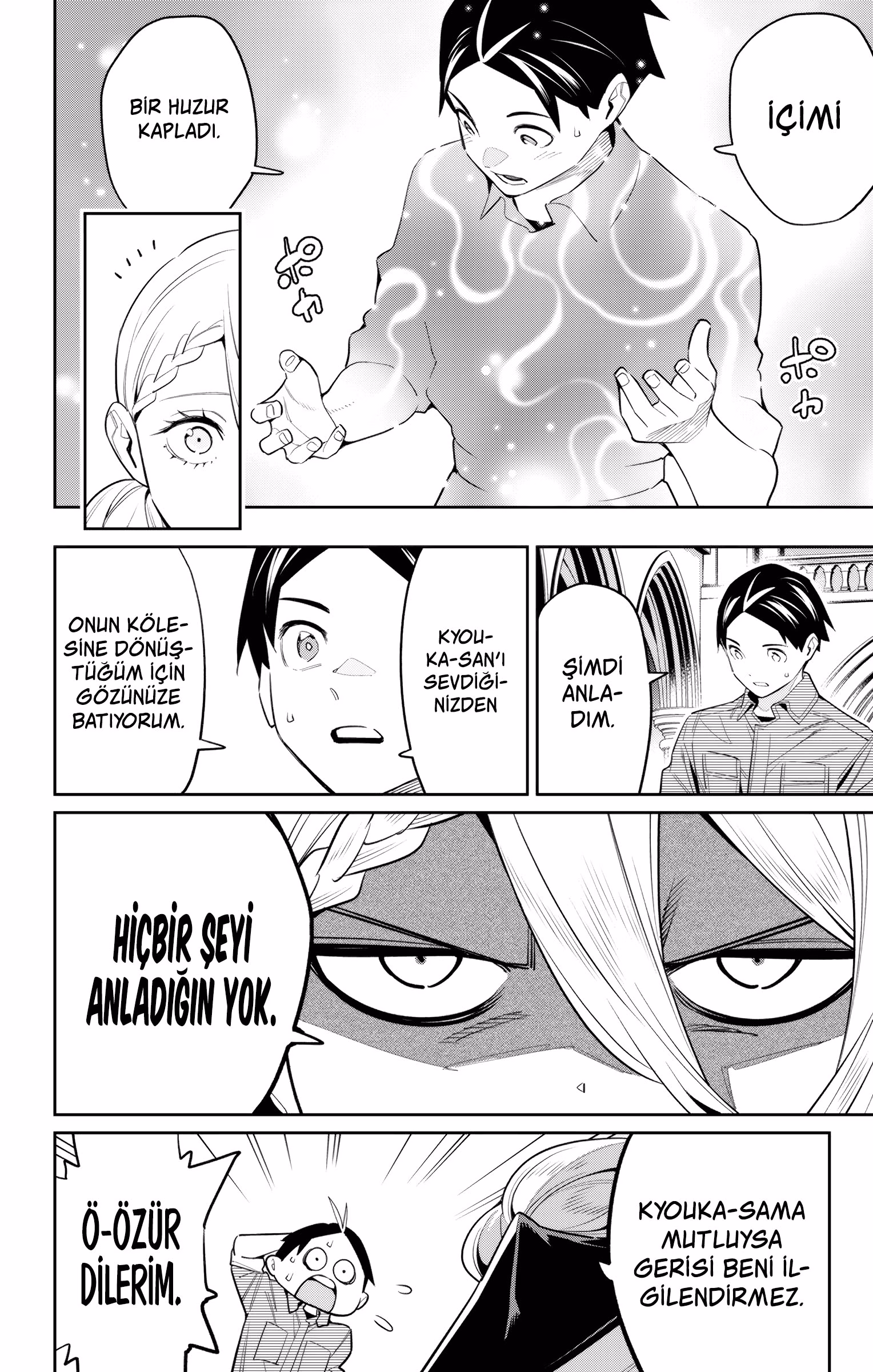 Sayfa 14