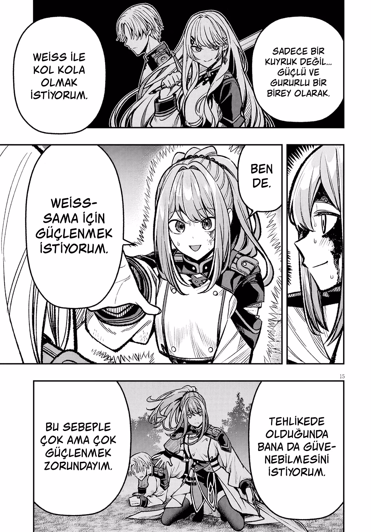 Sayfa 15