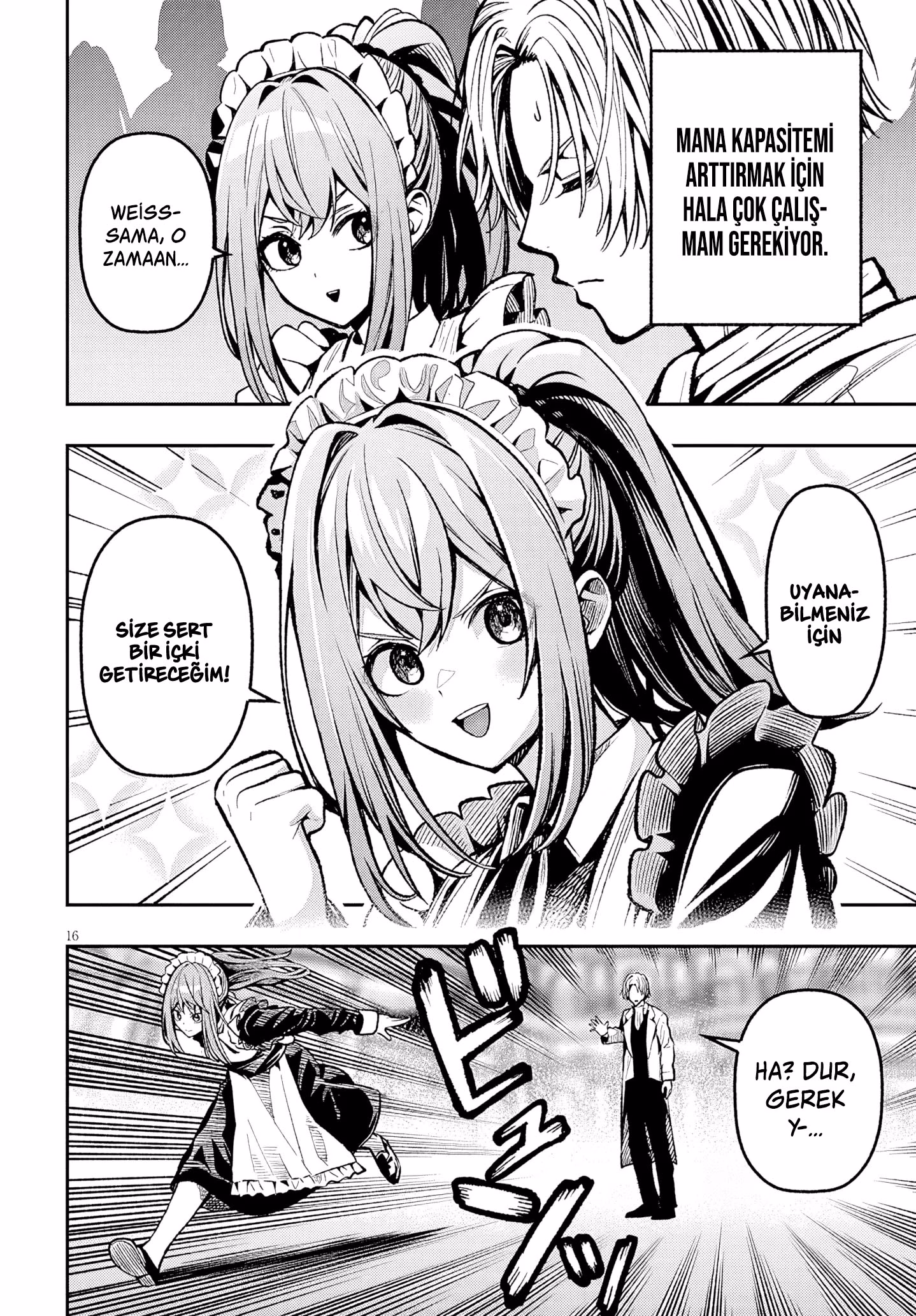 Sayfa 16
