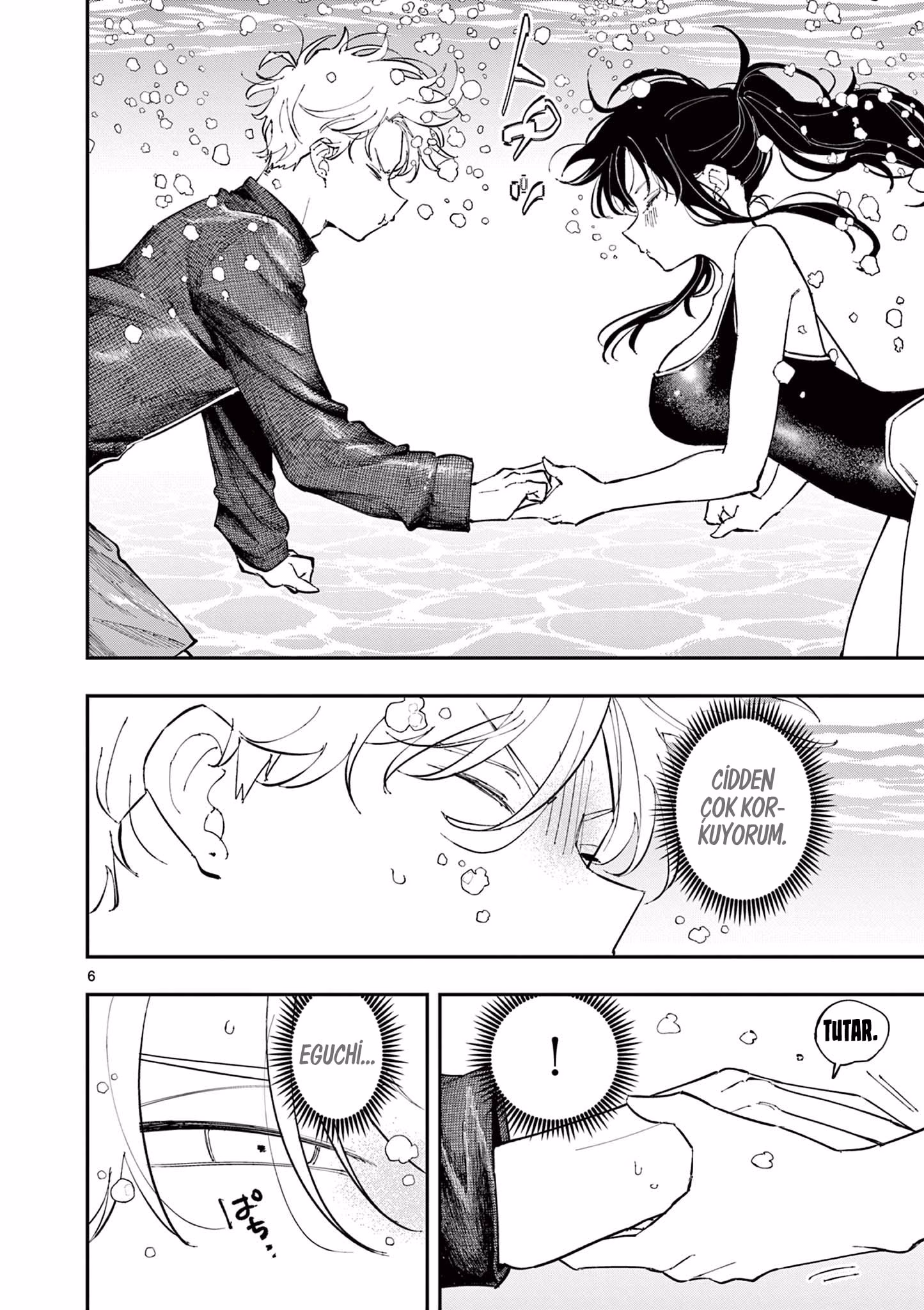 Sayfa 6