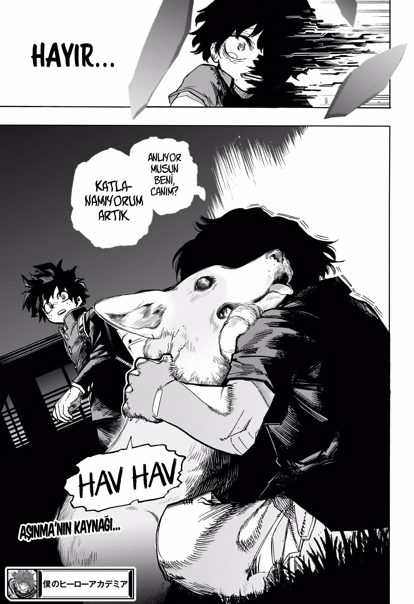 Sayfa 15