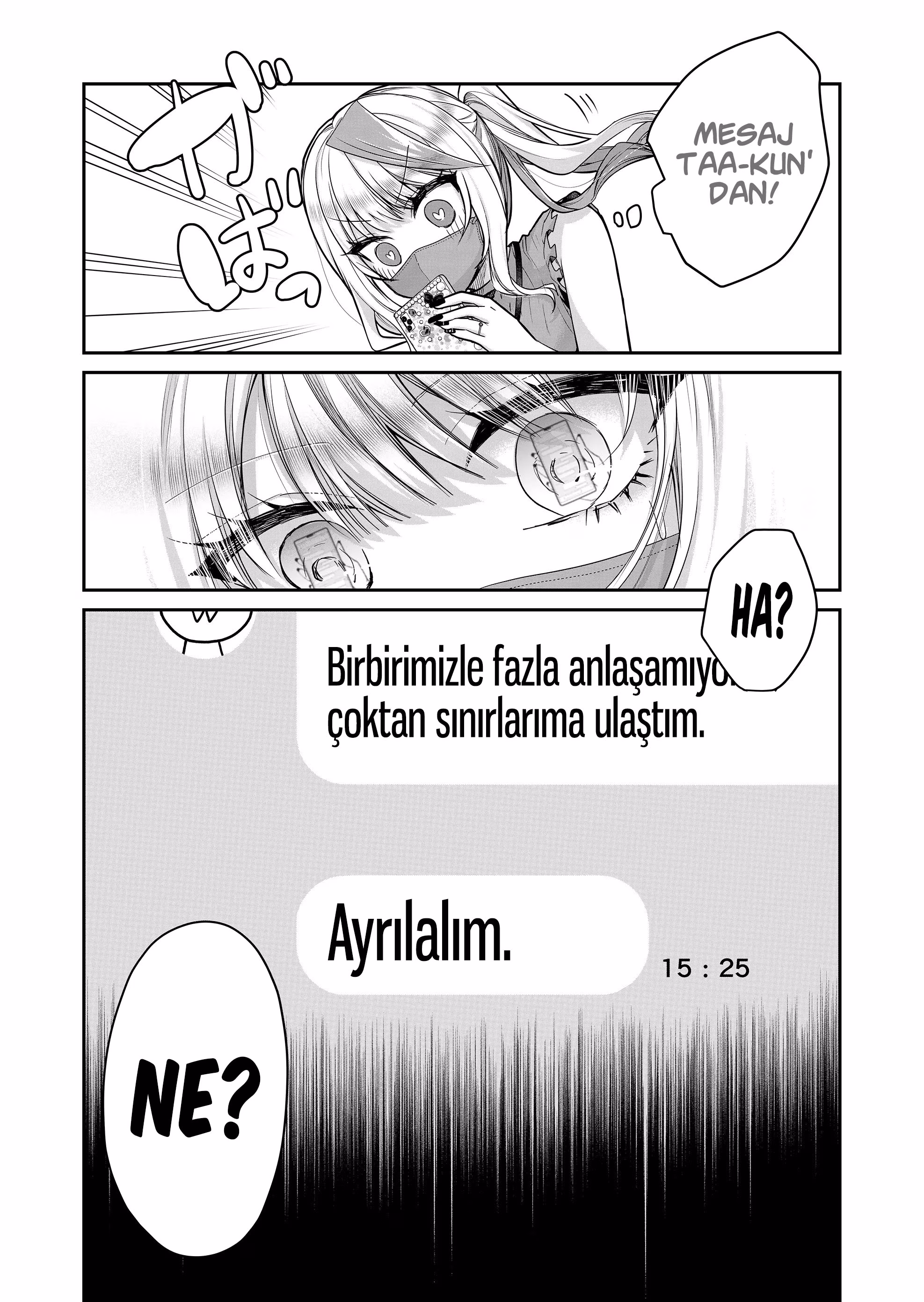 Sayfa 13