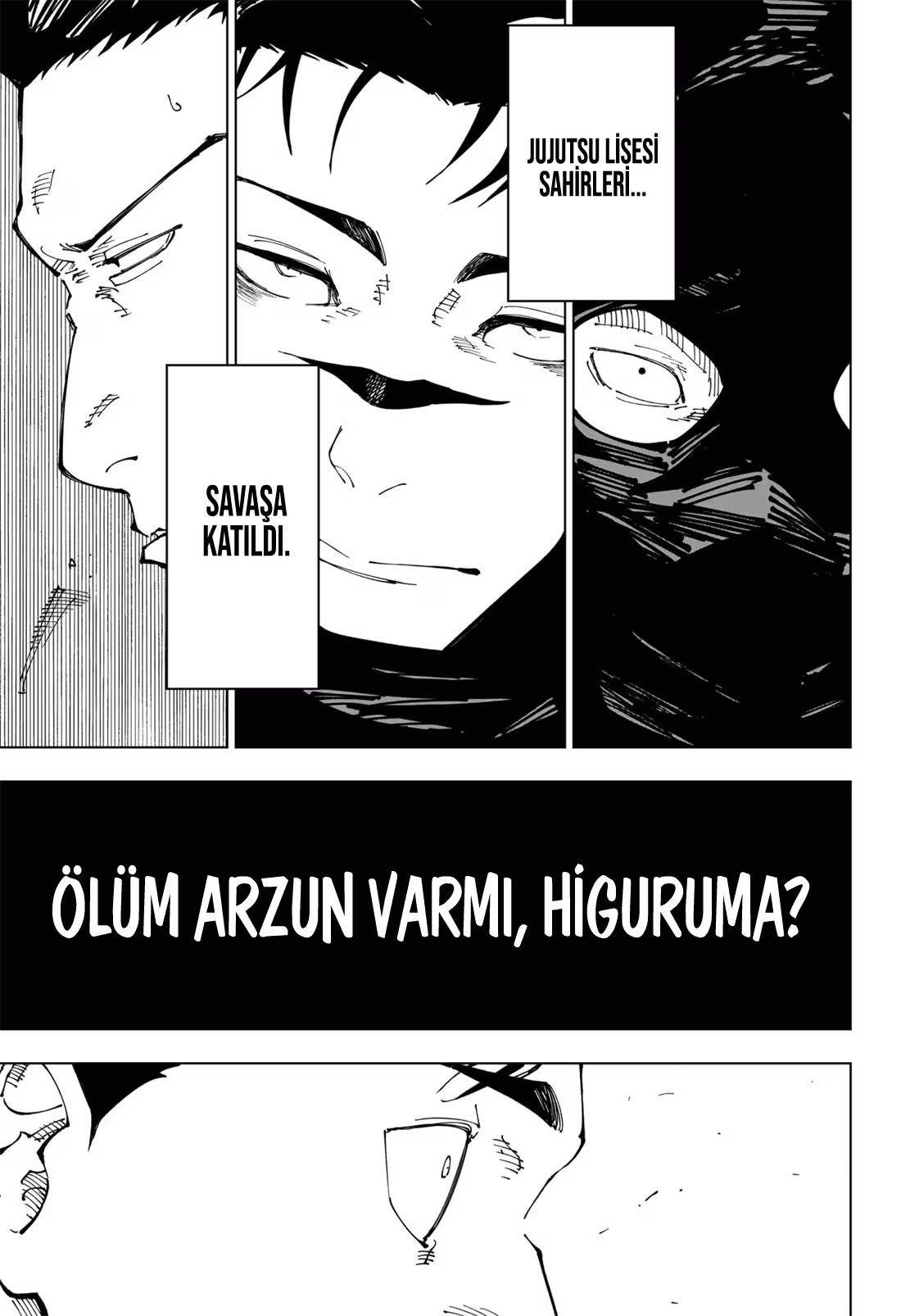 Sayfa 17