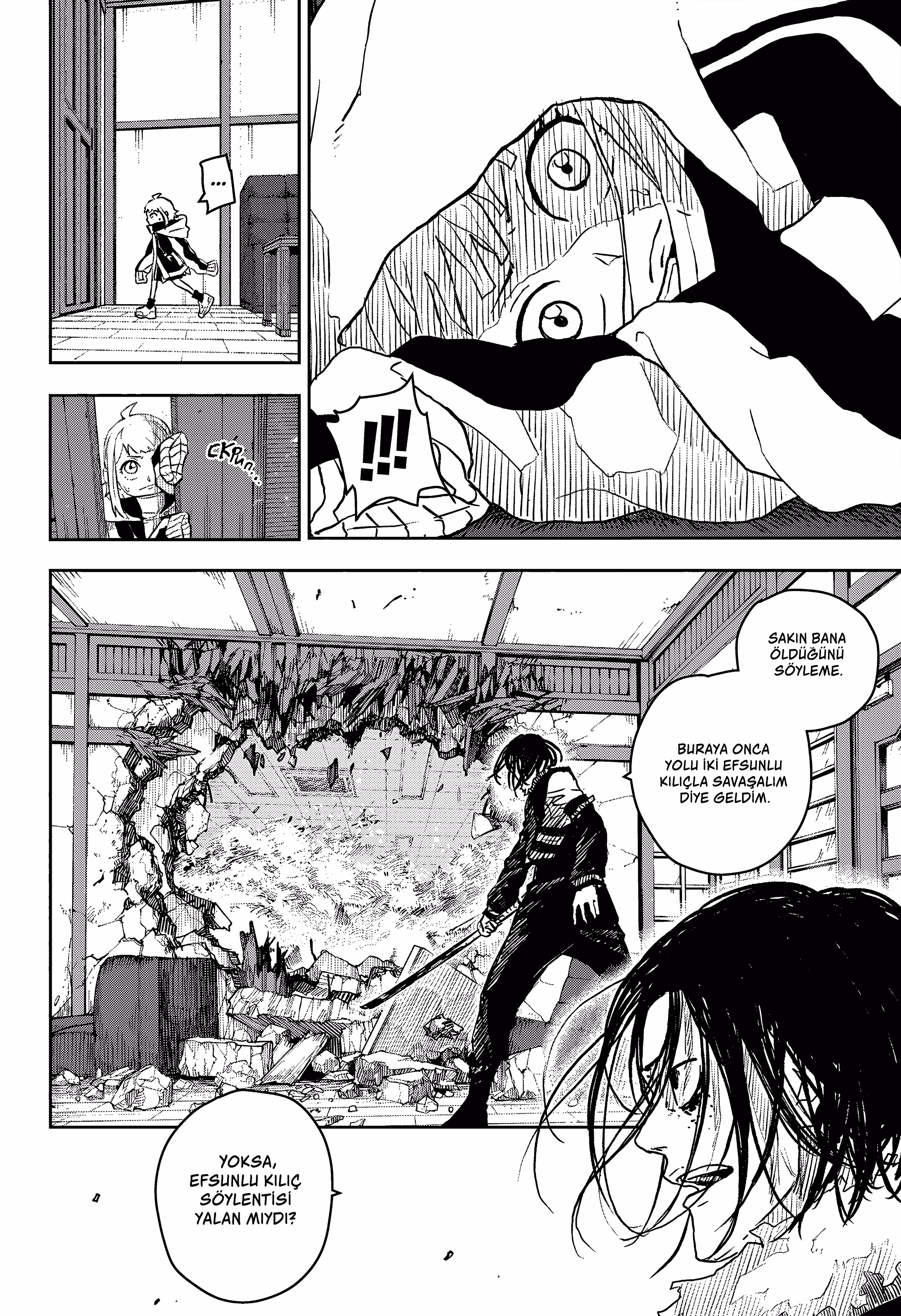Sayfa 17