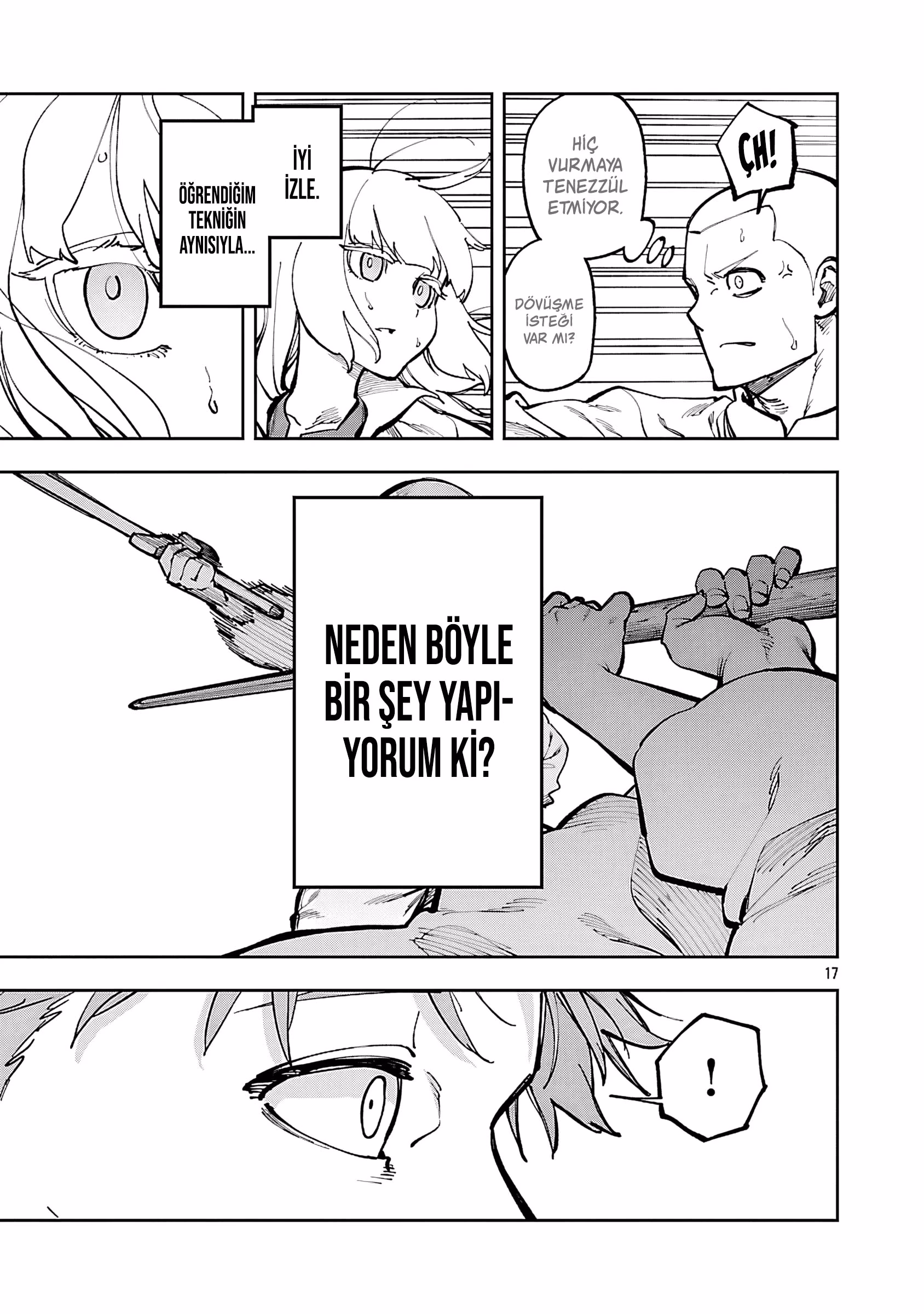 Sayfa 17