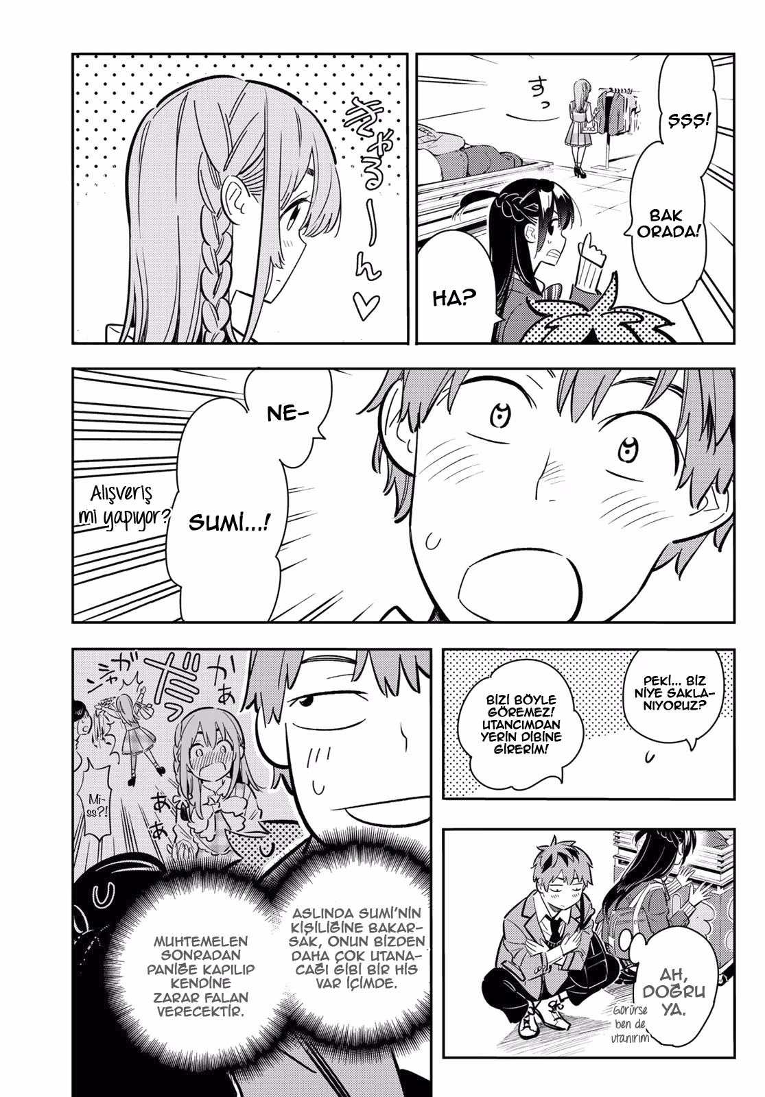 Sayfa 4