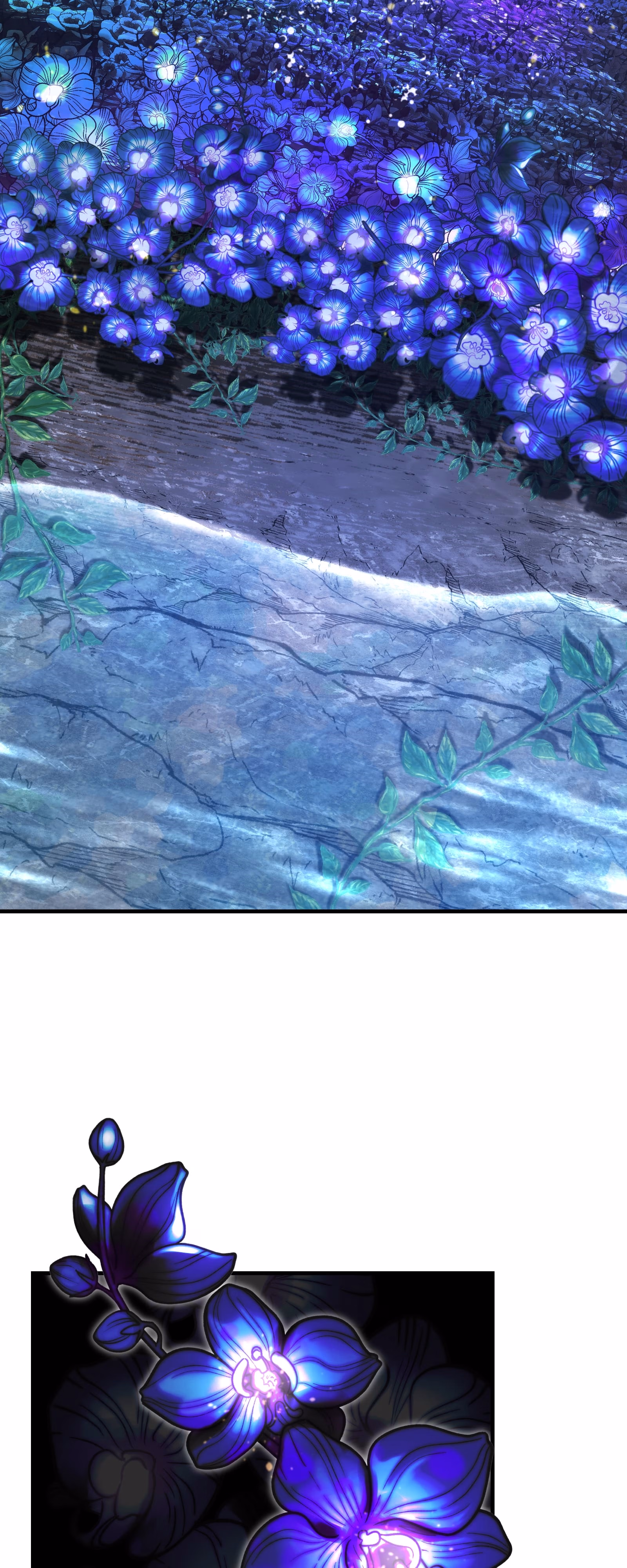 Sayfa 12