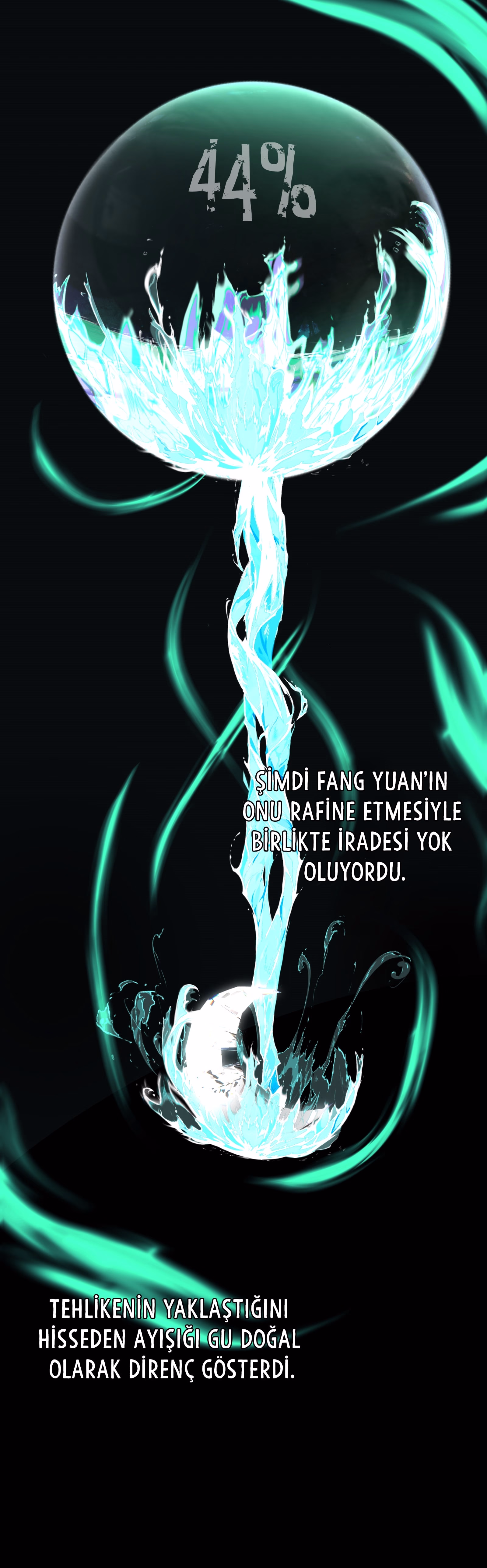 Sayfa 17