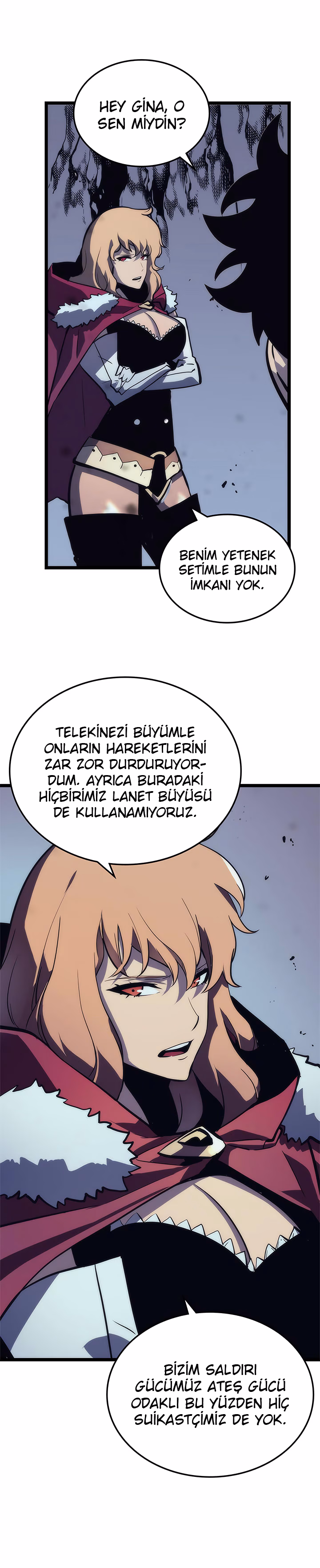 Sayfa 17