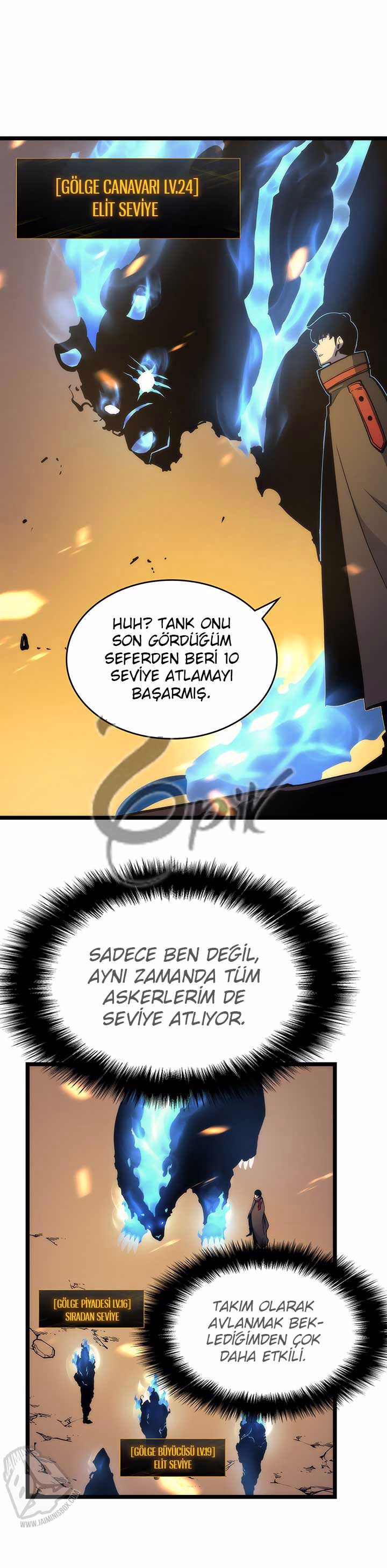 Sayfa 13