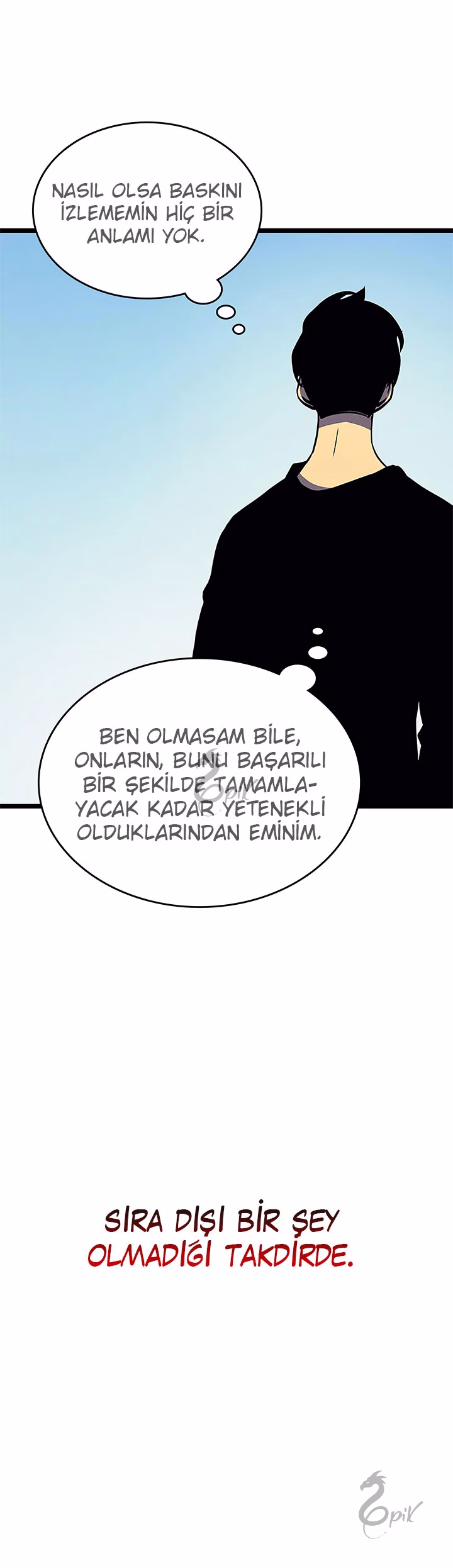Sayfa 17