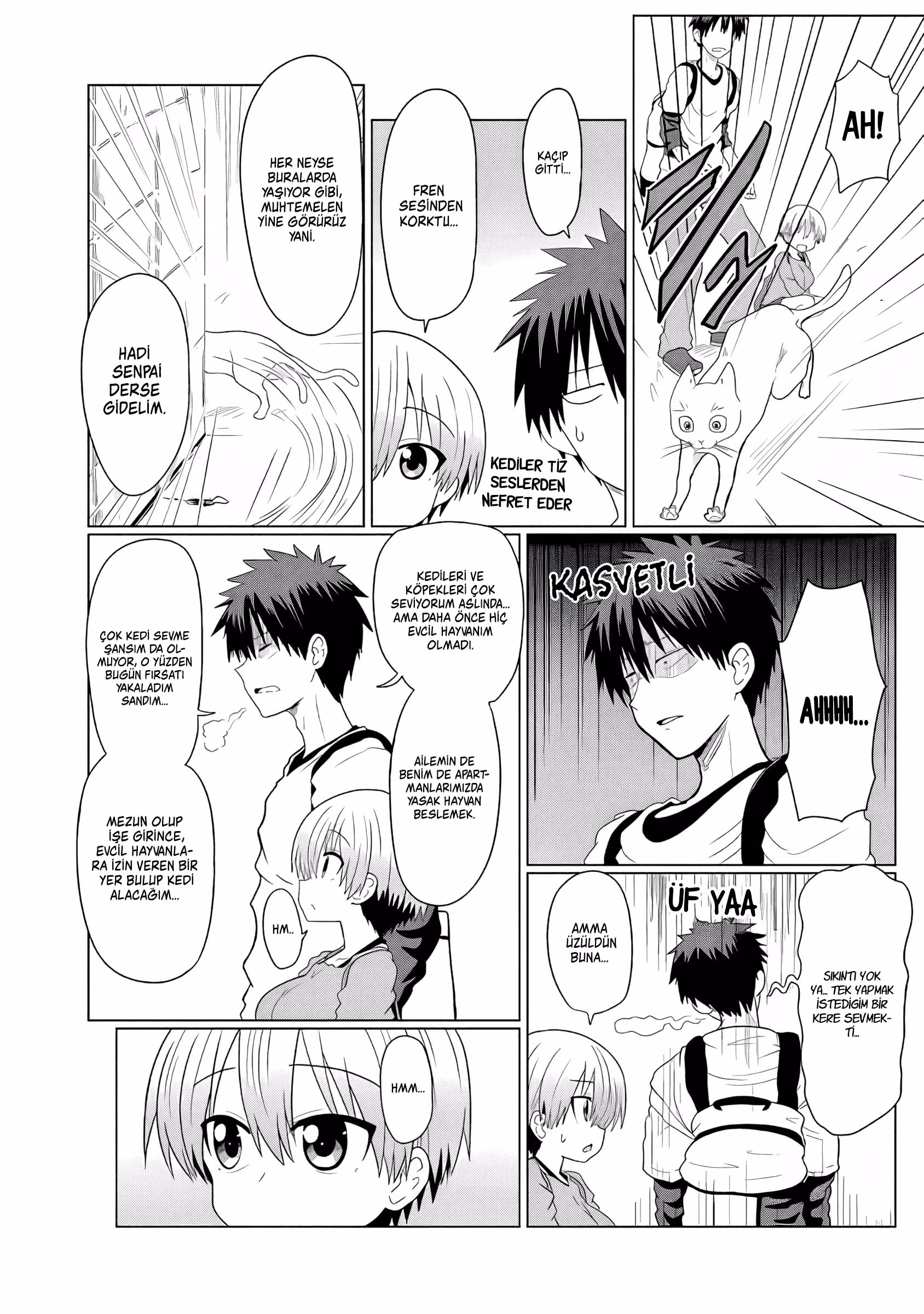 Sayfa 4